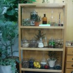 植物の恵みがたっぷり！ オリジンズの新クリーム
