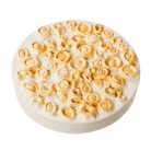 11xmas_lush_25