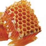 渡辺佳子のナチュラルコスメ入門(27) みつばちを救う!ニールズヤードの“SAVE THE BEES” プロジェクト