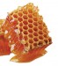 渡辺佳子のナチュラルコスメ入門（27） みつばちを救う！ニールズヤードの“SAVE THE BEES” プロジェクト