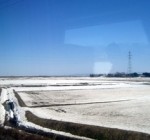 北の国から美的通信＃７ 函館〜札幌、電車旅の醍醐味