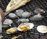北の国から美的通信＃27 あわびの里で、あわびをたらふく食べる！