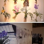 美しさは生命力であり､永遠の若さに通じる。肌運命を覆すゲランの新・最高峰クリーム