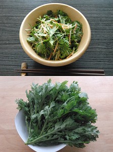 石坂優子の「キレイを養う★美味旬★レシピ」（24）キレイに風邪予防！春菊の薬味サラダ