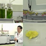 2000の茶花と100の成分。アジアンボタニカルの雄「アモーレパシフィック」から、あの伝説の名品がいよいよ日本上陸！