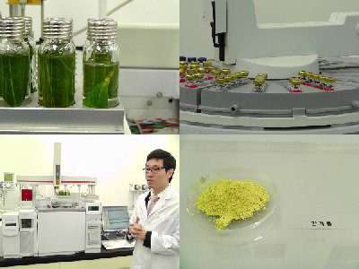 2000の茶花と100の成分。アジアンボタニカルの雄「アモーレパシフィック」から、あの伝説の名品がいよいよ日本上陸！