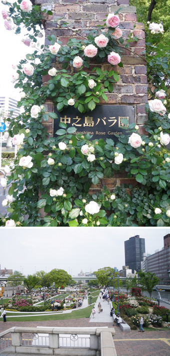 中之島バラ園