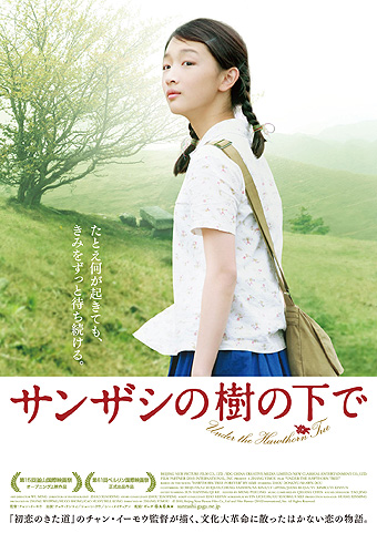 POSTER C8