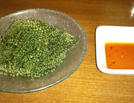 vol.9┃大好物は海ぶどう？ 後藤真希が野菜中心の食生活にたどり着くまで