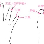 エステティシャンの『美の裏技』(4)リフレッシュする簡単マッサージ法〜爪もみ〜