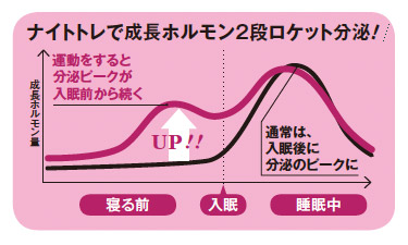 運動は即効で抗老化ホルモン分泌に働きかける