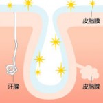 夏の毛穴ケア　さらにひと手間！　スペシャルメソッド