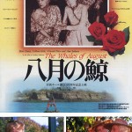 大高博幸の美的.com通信（140） 『八月の鯨』『世界にひとつのプレイブック』『ダイナソー・プロジェクト』  試写室便り No.38