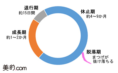 201503gmatsuiku1-4