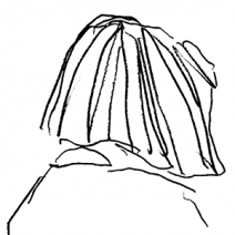 たんろ