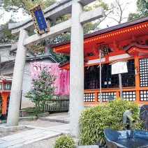 春の京都　はんなり「キレイ歩き」ガイド｜八坂神社・美御前社