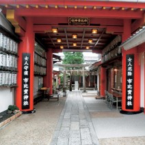 春の京都　はんなり「キレイ歩き」ガイド｜市比賣神社