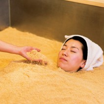 春の京都　はんなり「キレイ歩き」ガイド｜ナチュリス