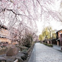 春の京都　はんなり「キレイ歩き」ガイド｜祇園・新橋周辺