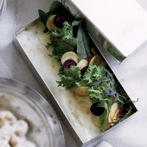 マッシュポテトのサラダ畑