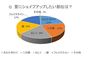 ダイエット円グラフ