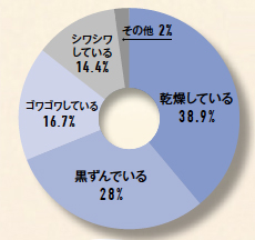 %e3%81%b2%e3%81%97%e3%82%99%e3%82%b9%e3%82%af%e3%83%aa%e3%83%bc%e3%83%b3%e3%82%b7%e3%83%a7%e3%83%83%e3%83%88-2017-01-20-11-00