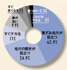 毛穴ケアのお悩みランキング