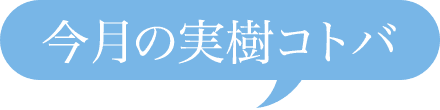 今月の実樹コトバ