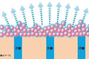 塗るタイプのデオドラントを美的メンバーがおすすめ