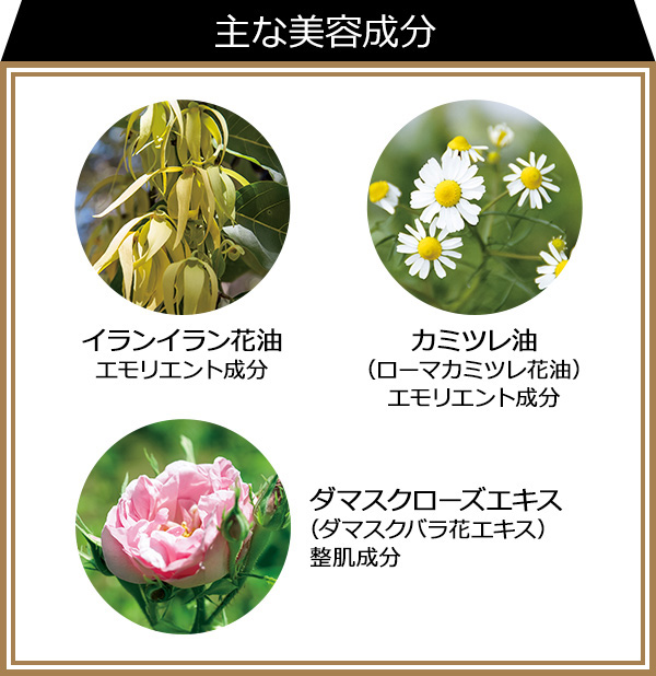 主な成分