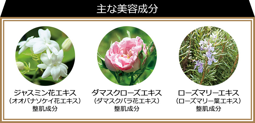 主な成分