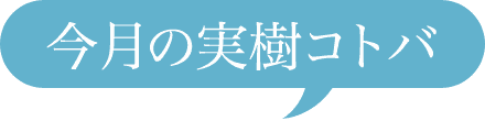 今月の実樹コトバ