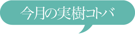 今月の実樹コトバ