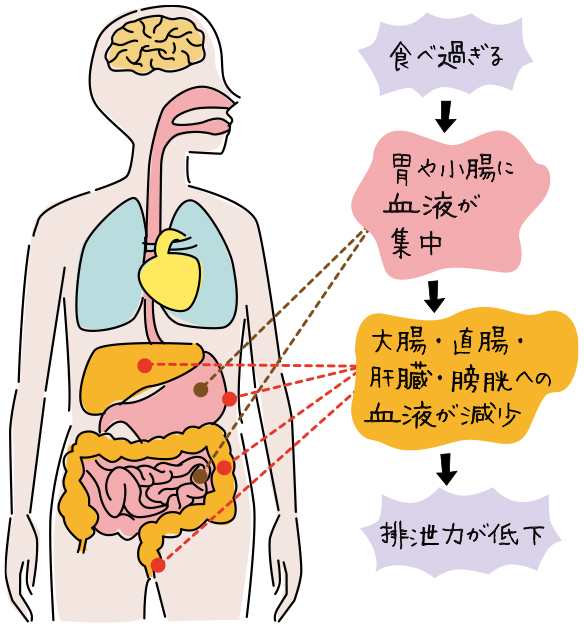 夜型の人におすすめ