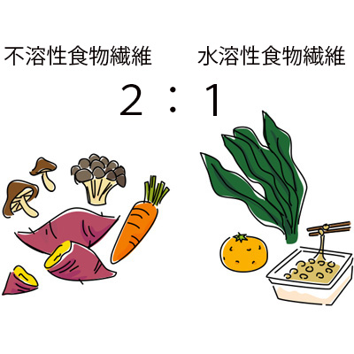 食物繊維は不溶性と水溶性のどちらも摂ろう！