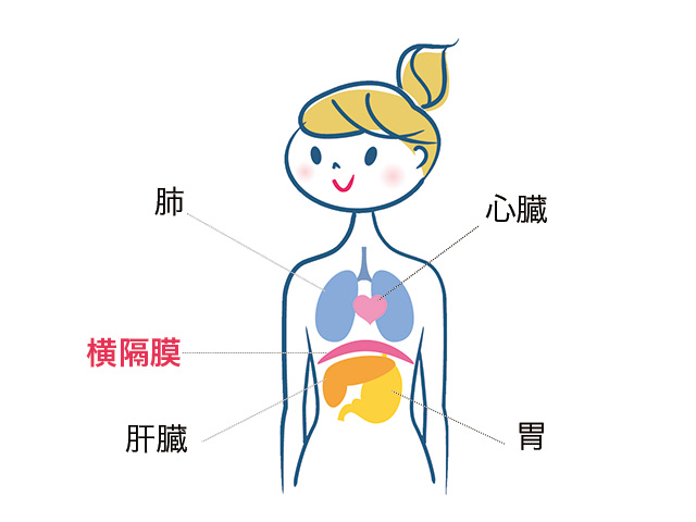 燃焼力がアップする横隔膜呼吸