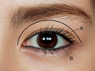 ナチュラルメイクにアイラインは必要 初心者でも簡単な 目尻だけ引く アイラインなしで作るナチュラルメイクなど 美的 Com