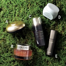 植物の力で美肌を叶える！ おすすめスキンケアアイテム8選