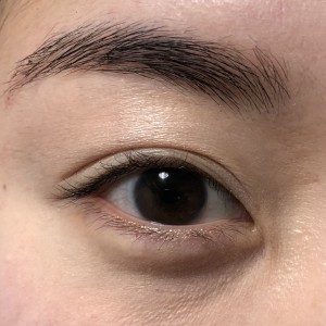 プチプラ！スモーキーアイシャドウ②　キャンメイク