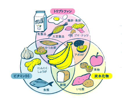 睡眠の質を高めるには朝の食事から始まる？