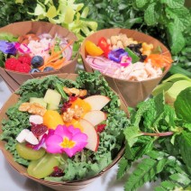 年末年始の野菜不足を解消！ ヘルシーで可愛い、野菜がたっぷり摂れるレストランをご紹介！【キレイになる旅 by ビューティ＆トラベルライター 石原有起 Vol.13】