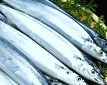 サンマを買う前に必ずやるべき新鮮かどうかの見極め方