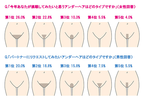 女子陰毛  ヘアウィッグ、陰毛、女性の人間の髪の毛、手作りのふわふわベルト、10枚の両面テープ、プライバシー保護 A