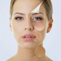 OVER30はマスト！セラミド不足を補う「オイル美容」で感動の化粧ノリ