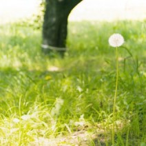 「無意識リア充アピ」にイラッ！実はウンザリなSNS投稿例4つ