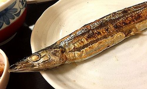 ヤバッ…自信ない人多数！実は見られてる「美しいサンマの食べ方」
