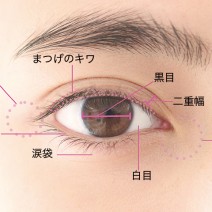 美的クラブに徹底アンケート！ みんなの目元はどうなっている？