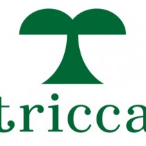 tricca Daikanyama（トリッカ ダイカンヤマ）【nail salon】
