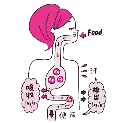 鉄分足りてますか？貧血チェック！