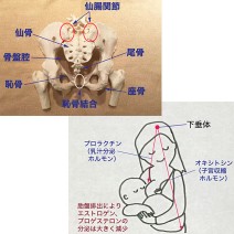 産後の不安を解消！うつ・骨盤の開き・たるみお腹・むくみ…原因や対策を専門家が解説